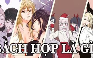 bách hợp là gì?