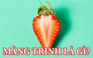 màng trinh là gì?
