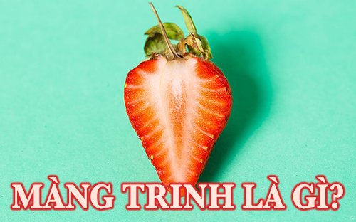 màng trinh là gì?